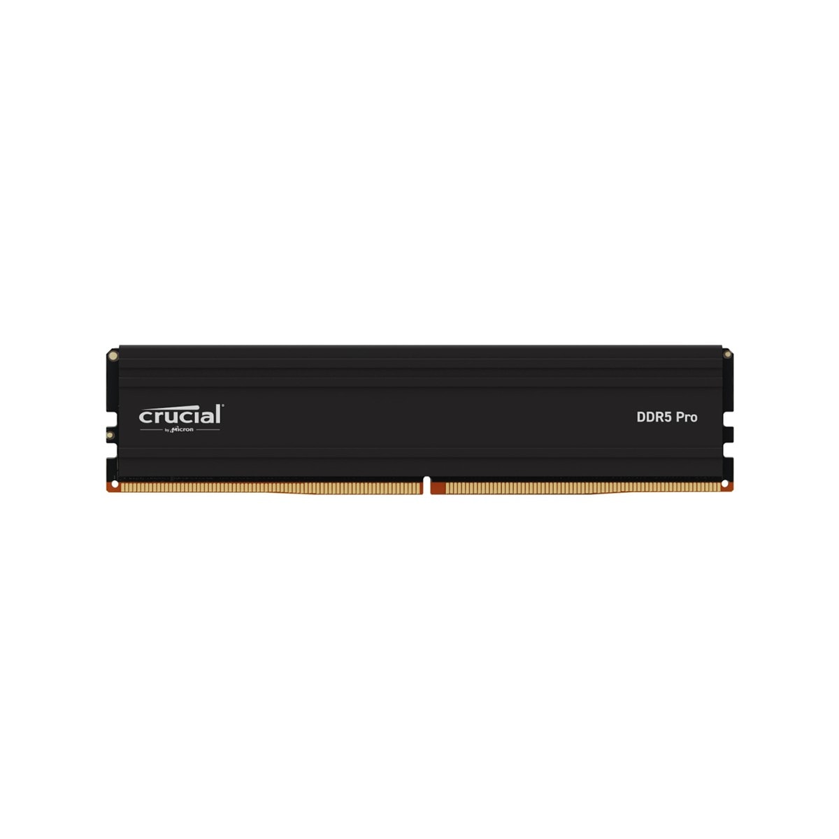 Crucial Pro 24GB (1x24GB) DDR5 6000MHz CP24G60C48U5