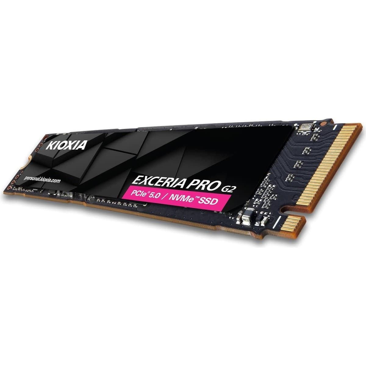 Kioxia Exceria Pro 1TB G2 PCI-Express 5.0 M.2 SSD LVE10Z1T02G8
