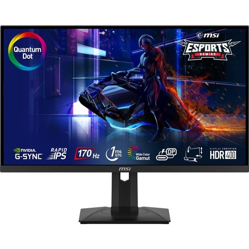 Msi 27" G274QPF QD 170Hz 1Ms IPS WQHD Gaming Monitör